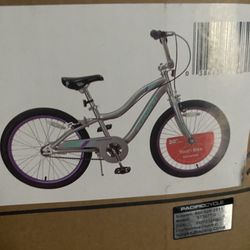 Schwinn Bike