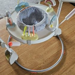 Skip Hop Baby Bouncer Activity Center