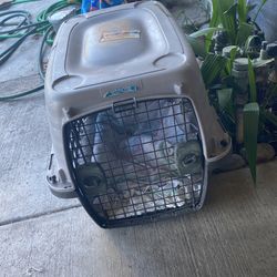 Small Dog Travel Carrier