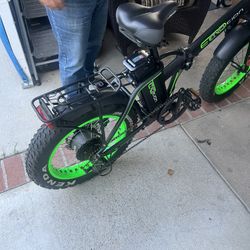 Ecomotion e-bike Class 2 