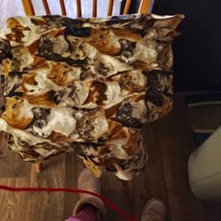 Cat Blanket 