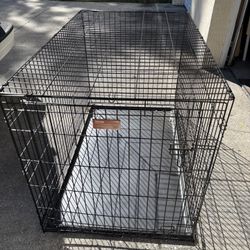 pet carrier large  or have a medium size available 