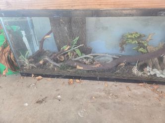 Reptile aquarium