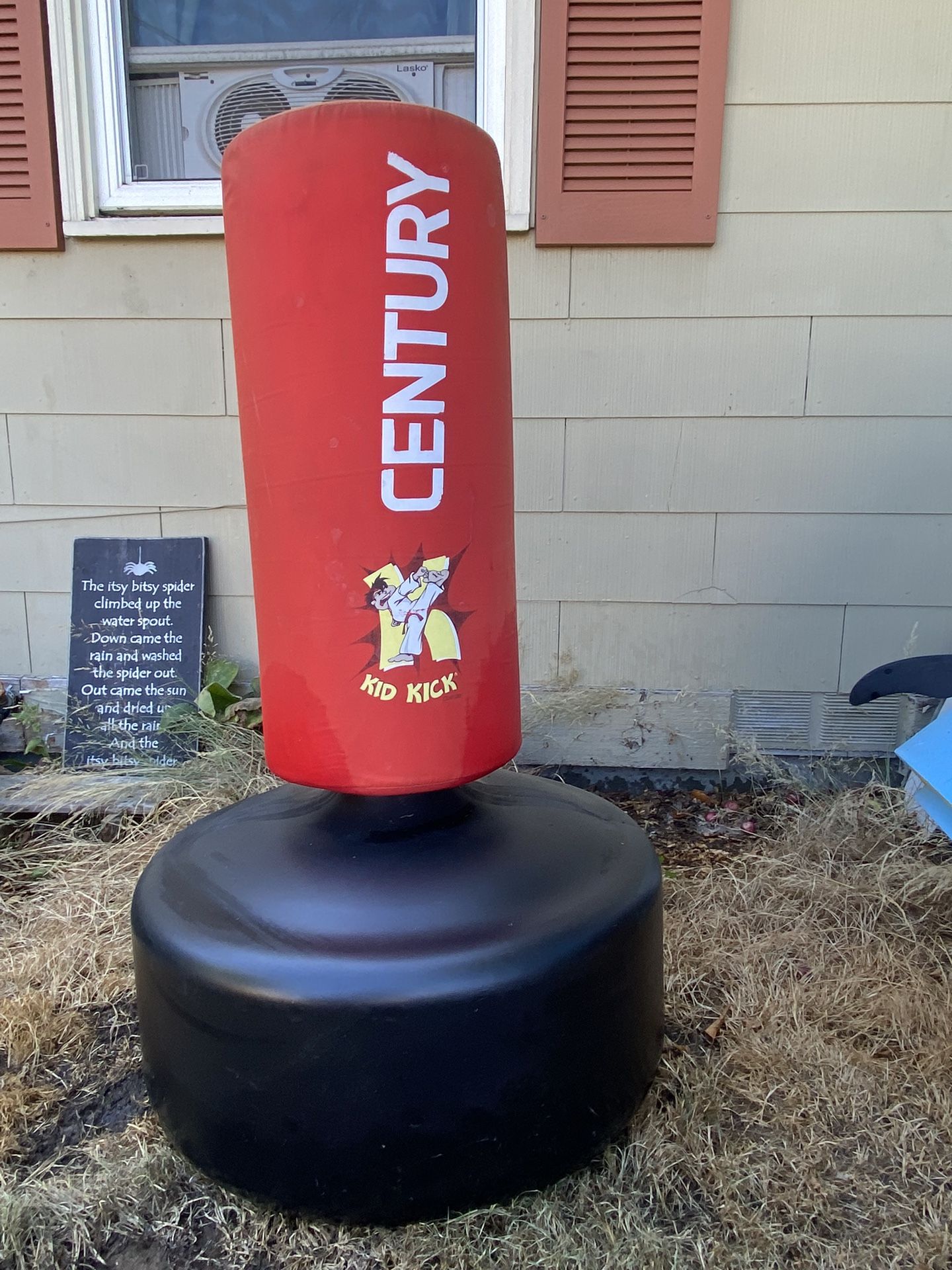 Kick/Punching Bag For Kids