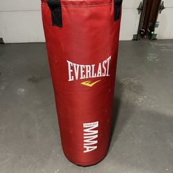 Everlast mma/boxing Heavy Bag