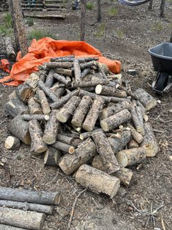 Firewood Seasoned Pine Firewood