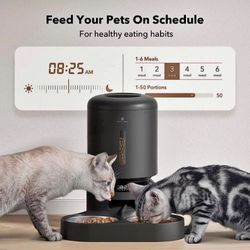 Automatic Feeder For Two Cats 5L Dry Food Dispenser With Splitter