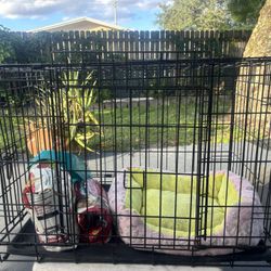 Medium Dog Cage