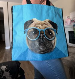 HOME GOODS PUG REUSABLE BAG!