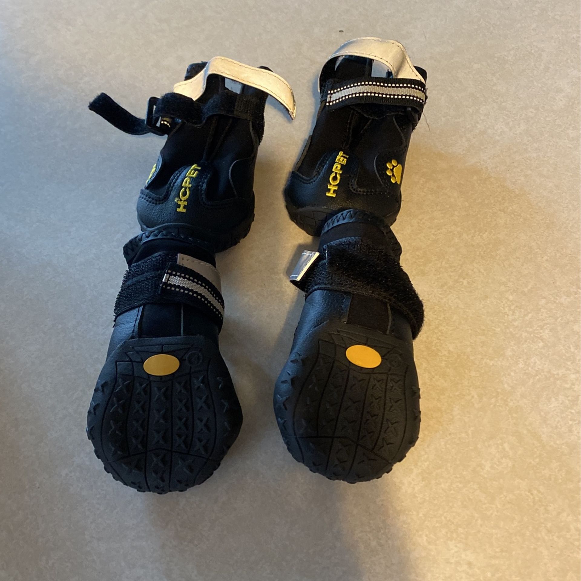 Doggy Shoes