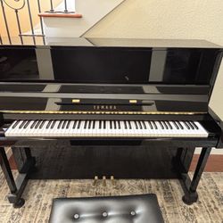 Yamaha B3 2018