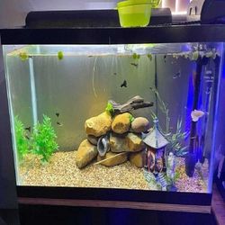 buy strong All-Inclusive Aquarium Kit Dive into a World of Aquatic Wonders