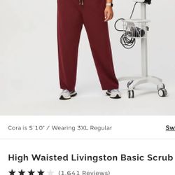 Livingston Scrub Pants