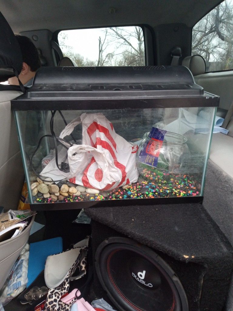 Fish Aquarium