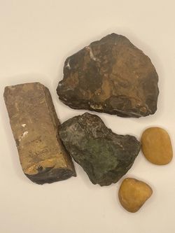 Assorted Petrified Wood & Stones