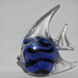 Glass fish