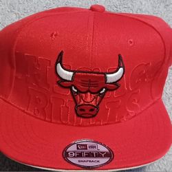 Chicago Bulls Cap Hat Snapback 9FIFTY New Jordan Rodman Rose Pippen