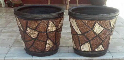 Maseteros Nuevos