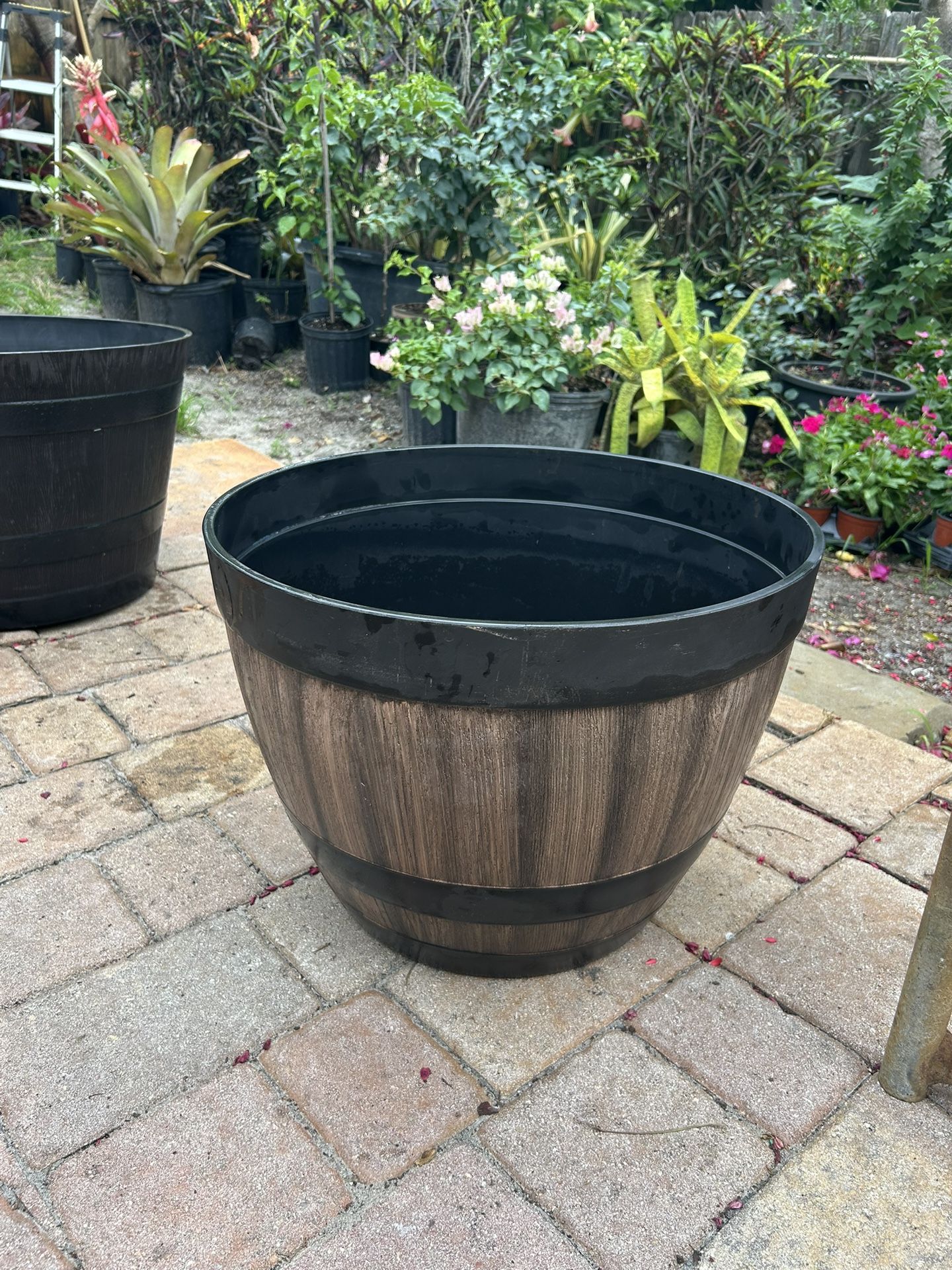 Flower Pot