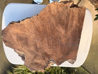 Redwood Burl