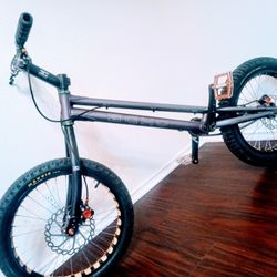 Echo 20" BMX Trials bike