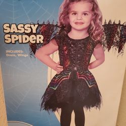 Halloween costume size 2t