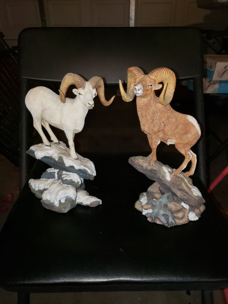 2 Rams, 3 Wolves