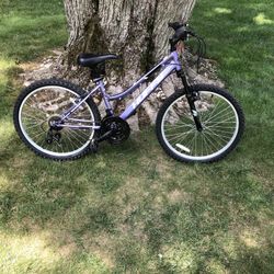 24”‘mountain Bike  (barely Used)