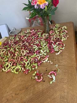 Guamuchiles  fruto  40 for all