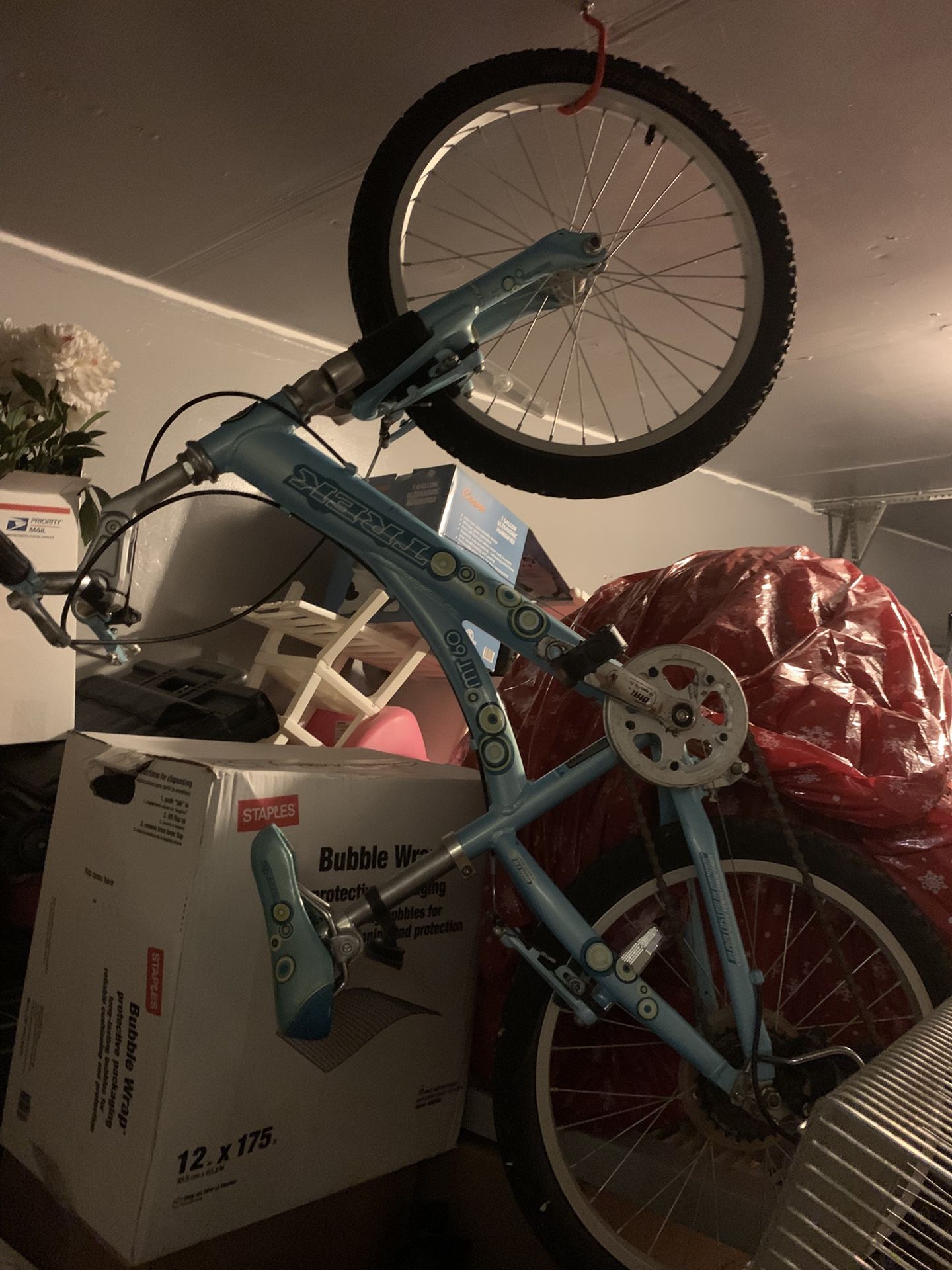 Trek Kids Bike