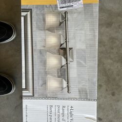 Portfolio Bathroom Light Fixture 