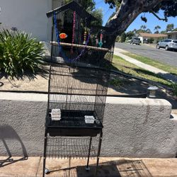 Bird Cage