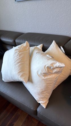 Throw pillows 4, duck feathers