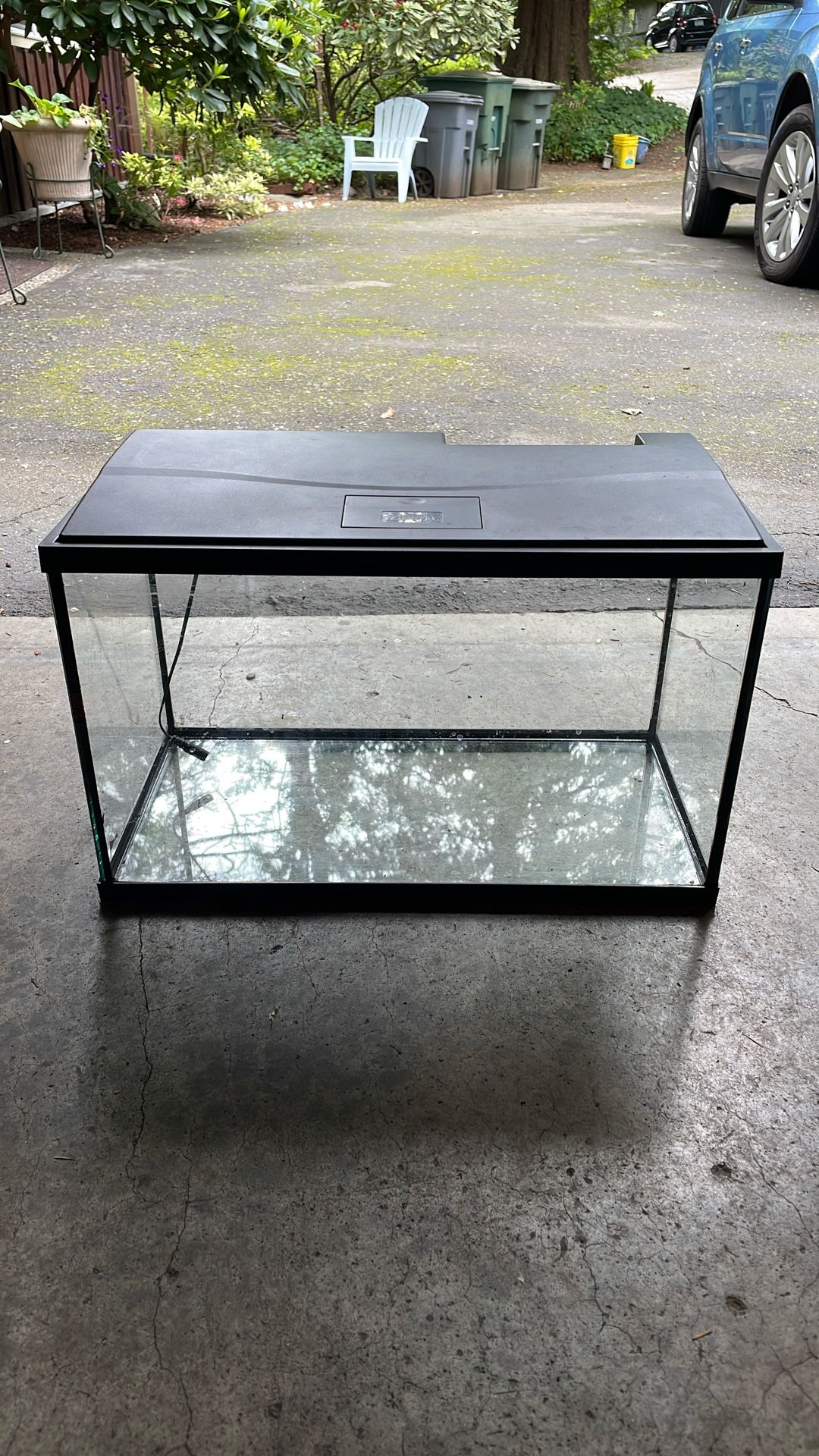 Fish Tank