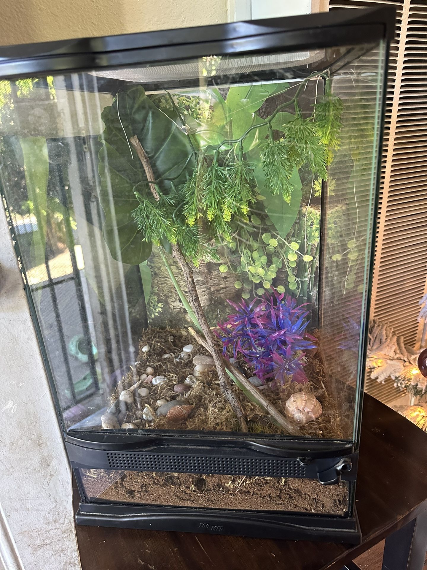 Terrarium Tank/Tropical Kit/ Reptiles