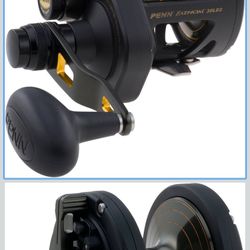 Penn Fathom  Fth40NLD2