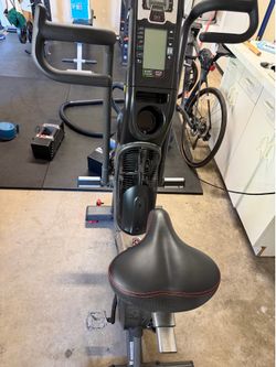 Schwinn Airdyne Pro