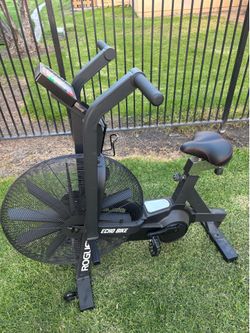 ROGUE ECHO BIKE ( LIKE NEW ) GREAT FOR AT HOME WEIGHTS GYM