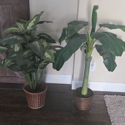 Artificial Decor plants