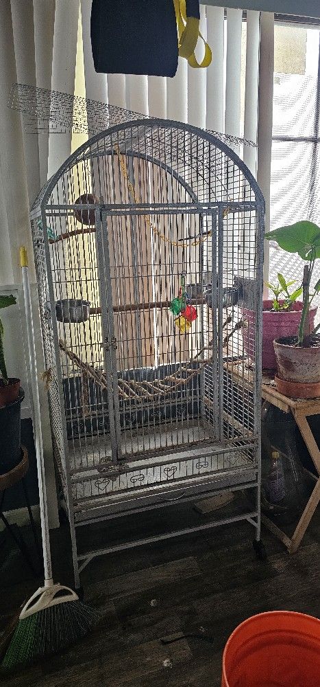 Bird Cage