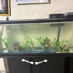 Fish Tank Stand Not Included