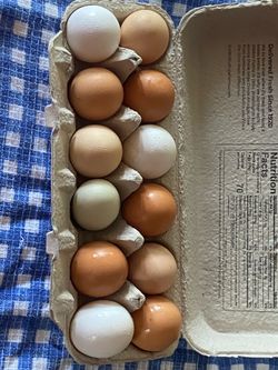 Fresh eggs