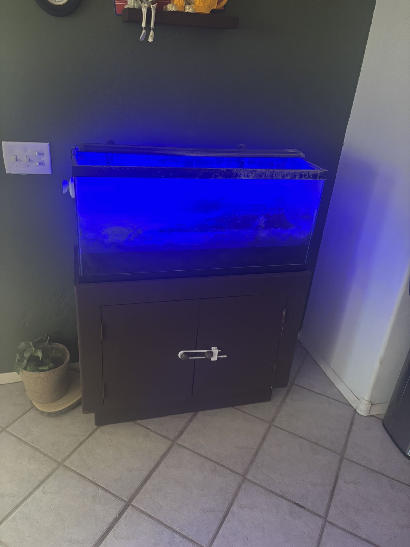 30 Gallon Fish Tank