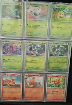 POKEMON- JOURNEY TOGETHER