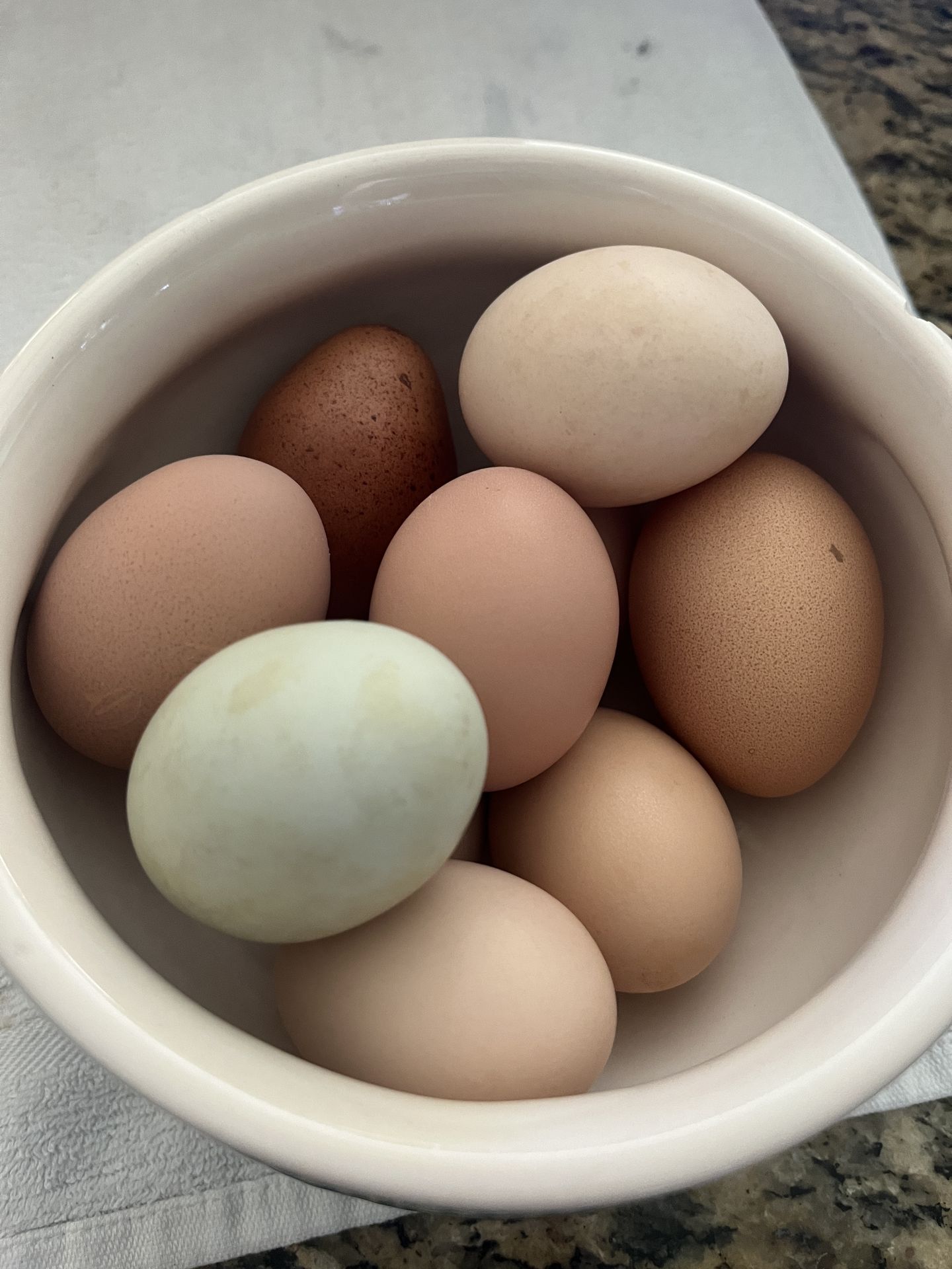 Farm fresh eggs