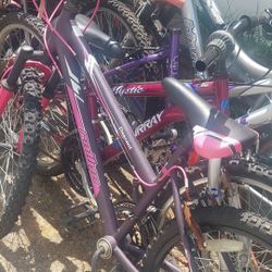 Girl's Mountain Bike,  Basic Maintenance Required,  $40 TAKE ALL 4