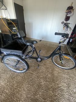 Tricycle Bike