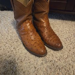 Genuine Ostrich Tecovas