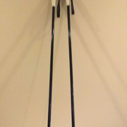 Vintage Ski Poles
