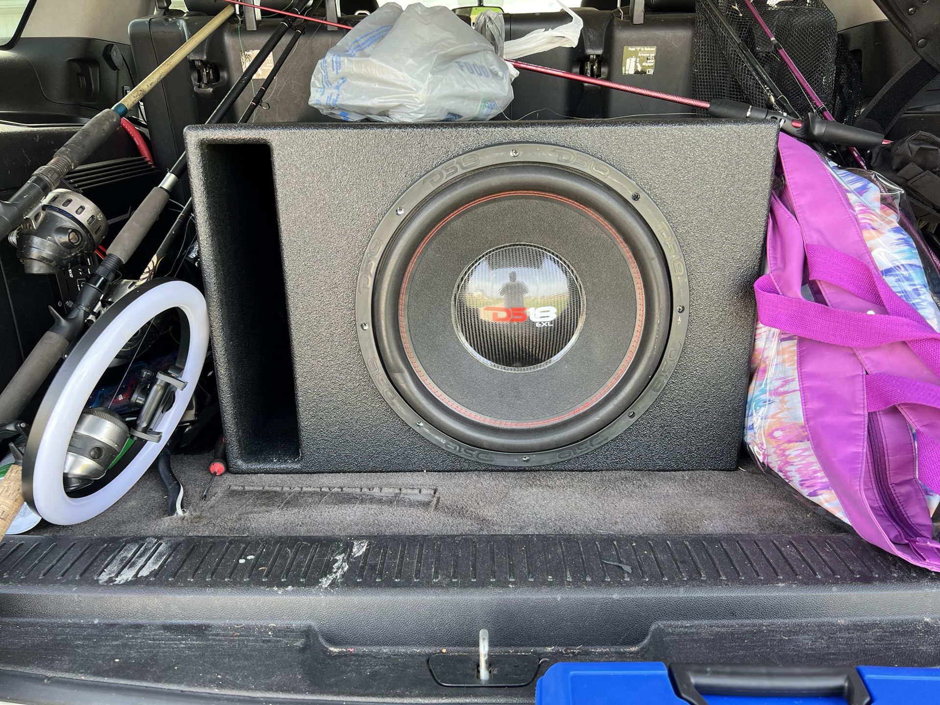 15” DS18 Subwoofer With Stereo And Amp